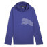 Puma Train All Day Cat Hoodie Mens Size M Casual Outerwear 52506227