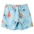 Фото #4 товара QUIKSILVER Mix Volley 15´´ Swimming Shorts