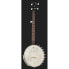 Фото #2 товара Gold Tone CC-OTA Clahammer Banjo Set