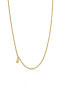 Bold Bear Timeless Gold Plated Chain 1004071900