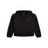 LYLE & SCOTT Lyle sweatshirt