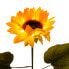 LED-Solarspieß Sonnenblumen 2er-Set
