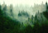 Фото #1 товара Vlies Fototapete Wald im Nebel Tapete