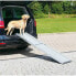 ფოტო #2 პროდუქტის TRIXIE AL Petwalk 43x100x180 cm Car Ramp