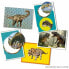 Chrome Pack Panini National Geographic - Dinos (FR) 7 конверты