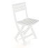 Фото #1 товара Складной стул IPAE Progarden Birki bir80cbi Белый 44 x 41 x 78 cm