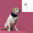 Фото #2 товара Широкий ошейник для собак KVP Чёрный (15-53 cm)