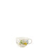 Фото #1 товара Rosenthal Brilliance Fleurs des Alpes Kombi-Obertasse 0,3 Liter