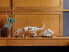 Фото #14 товара LEGO Ideas Szkielety dinozaurów (21320)