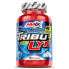 Фото #2 товара AMIX Tribulyn 40% Natural Anabolic Caps 120 Units