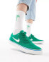 Nike SB Chron 2 canvas trainers in green and white