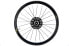 Mavic Aksium Disc Road Rear Wheel, 700c, Aluminum, Clincher, 12x100mm TA, 24H,CL
