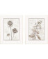 Фото #1 товара Интерьерный комплект картин Paragon Picture Gallery dried Florals I, набор из 2шт.