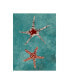Фото #1 товара Alicia Ludwig Twin Starfish I Canvas Art - 20" x 25"