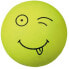 Фото #2 товара Trixie Uśmiechnięta piłka z gumy piankowej, pływająca Z gumy piankowej Różne motywy 6cm (TX-3438)