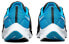 Фото #5 товара Кроссовки Nike Pegasus 38 NFL "Carolina Panthers" DJ0843-001