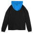 NFL Carolina Panthers Girls' Fleece Hooded Sweatshirt - XL