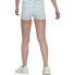 Фото #2 товара ADIDAS ORIGINALS Adicolor Classics Traceable shorts
