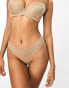 Фото #1 товара Ann Summers Sexy lace thong in light beige