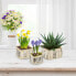 Фото #4 товара Аксессуары для цветов Relaxdays Настольные горшки в комплекте из 3 шт.