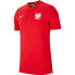 Фото #1 товара T-Shirt Nike Poland Grand Slam M CK9205-688