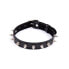 Фото #1 товара Collar with Spikes Adjustable 43 cm Black