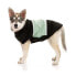 FUZZYARD FY Track Dog Sweater