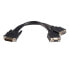 Фото #2 товара StarTech.com 8in LFH 59 Male to Dual Female VGA DMS 59 Cable, 0.2 m, DMS, 2 x VGA (D-Sub), Male, Male, Straight