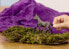 Фото #6 товара Schleich HC Paso Peruano Fohlen 13954