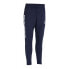 Фото #1 товара Select Argentina U trousers T26-02069 navy blue