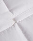 Фото #5 товара White Goose Feather & Down 240 Thread Count Comforter, Full/Queen, Created for Macy's