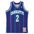 Фото #1 товара MITCHELL & NESS NBA AUTHENTIC ALTERNATE JERSEY CHARLOTTE HORNETS 94 LARRY JOHNSO