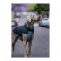 Фото #3 товара Пальто для собак Red Dingo Puffer Черный/Серый 30 cm