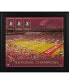 Фото #1 товара Florida State Seminoles Framed 15" x 17" Football Championship Count Collage
