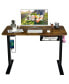 Фото #1 товара 48-inch Electric Height Adjustable Standing Desk with USB Port