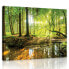 Фото #1 товара Leinwandbild Wald Sonne Wohnzimmer