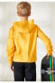 Фото #3 товара Свитшот для мальчиков DeFacto с мягким мехом, с капюшоном, с рисунком на груди и карманом-кенгуру