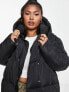 Threadbare Plus Evri puffer jacket with funnel neck in black