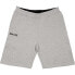 Фото #1 товара SPALDING Flow Shorts