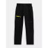 Фото #1 товара 4F Trekking Trousers Jr 4FJSS23TFTRM098-20S