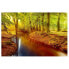 Фото #2 товара Magnettafel Herbstwald