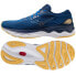 Фото #1 товара Running shoes Mizuno WAVE SKYRISE 4 M J1GC230903