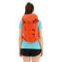OSPREY Mutant 22L backpack
