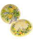 Фото #1 товара Certified Lemon Zest 2 Piece Melamine Platter Set