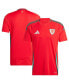 Фото #1 товара Men's Scarlet Wales National Team 2024 Home Replica Jersey