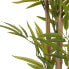 Decorative Plant Bamboo Green Plastic (70 x 120 x 70 cm)