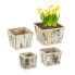 Eckiger Blumentopf Birke im 4er Set