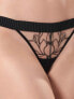 Bluebella Maia Brief Black/Sheer UK 6 (US Size 2/2XS)