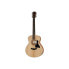 Фото #1 товара Taylor GS Mini Sapele B-Stock