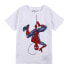 Фото #1 товара Детский Футболка с коротким рукавом Spider-Man Белый